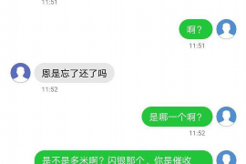 秦皇岛债务清欠服务